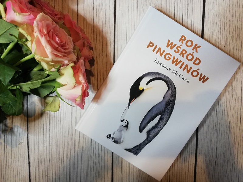 Rok wśród pingwinów – Lindsay McCrae